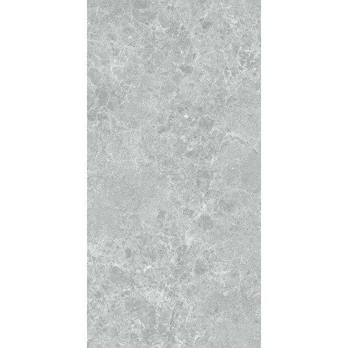 Керамогранит Stn ceramica Charisma P E 3DB grey mt rect 120х60 см