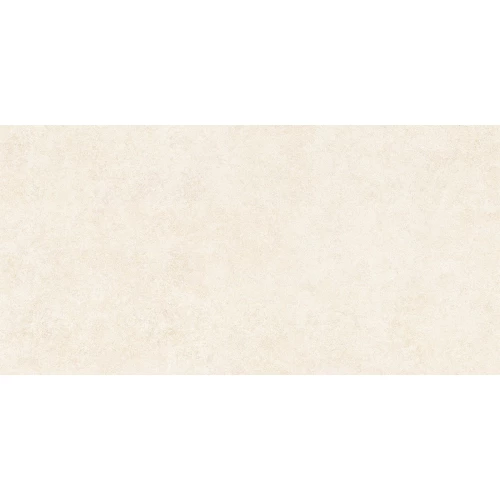 Керамогранит сатинированный ALMA Ceramica Amsterdam 2 шт в уп/41,6 м в пал GFA114ADM04R 114х57х0,85 см