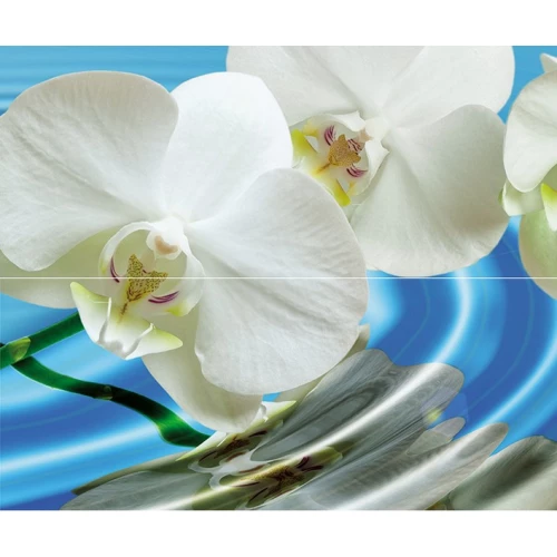 Панно Cerrol Water Garden А из 2пл 60х50