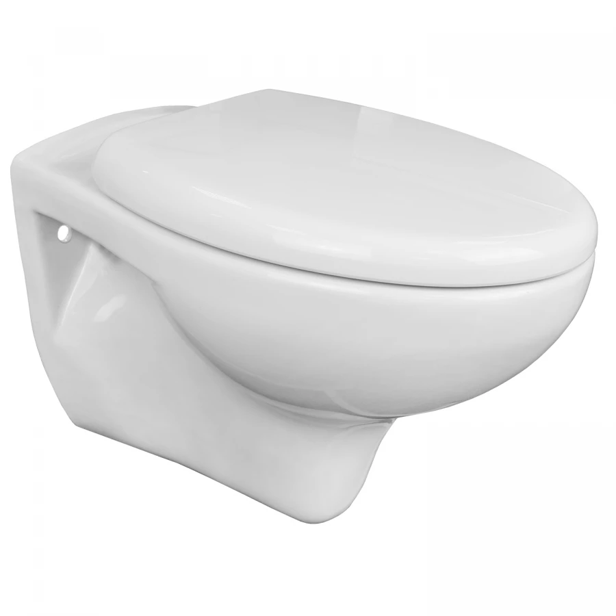 Унитаз подвесной Azario Stella безободковый с быстросъемным сидением микролифт белый AZ-VT005+AZ-VT005sc 37х40х55 см