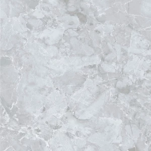 Керамический гранит Dako Genio серый E-3019/MR 60х60 см