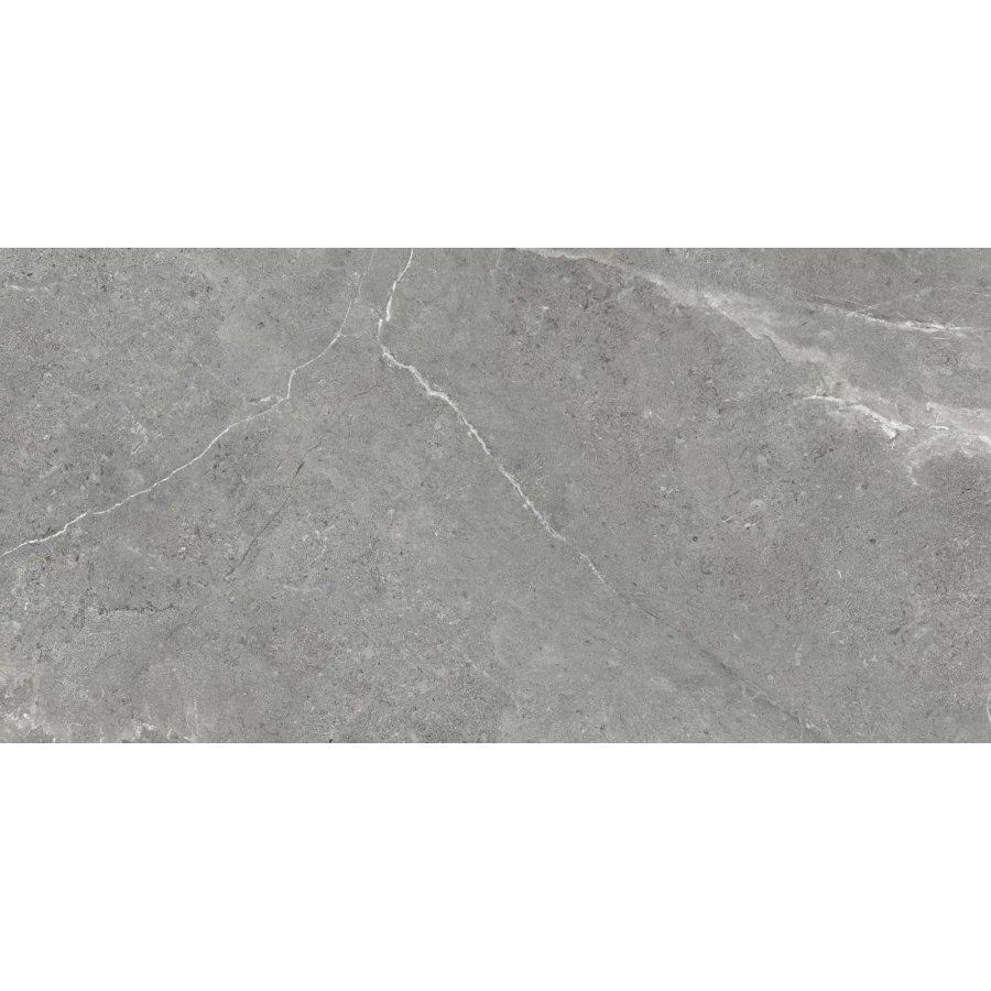 Керамогранит Artkera Group Titanium Gris матовый серый GP60120TIA05M 120х60 см