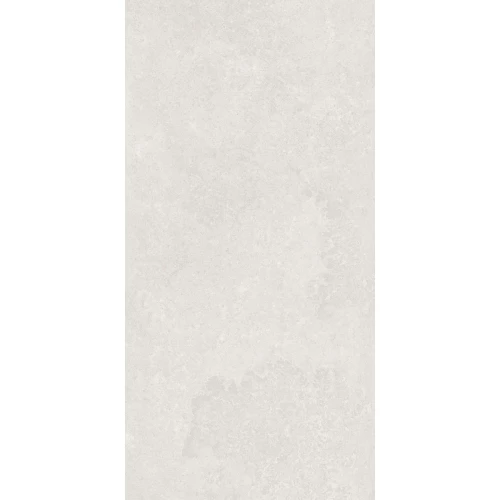 Керамогранит A-Ceramica Цонцрето Лунар Терра Лигхт Матт / Concreto Lunar Terra Light Matt матовый серый 120х60 см