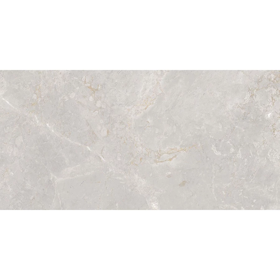 Керамогранит Flais Granito Italo grey 120х60 см