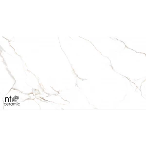 Керамогранит NT Ceramic Bright and Shiny NTT9122M Barbara White mat Матовый NTT9122M 120х60 см