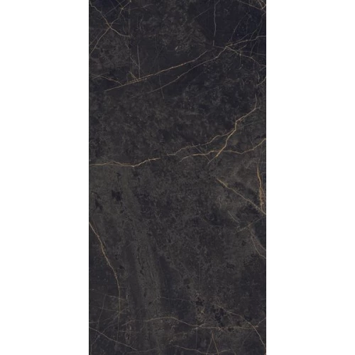 Керамогранит Ariana Ceramica Epoque black lap PF60004299 120х60 см