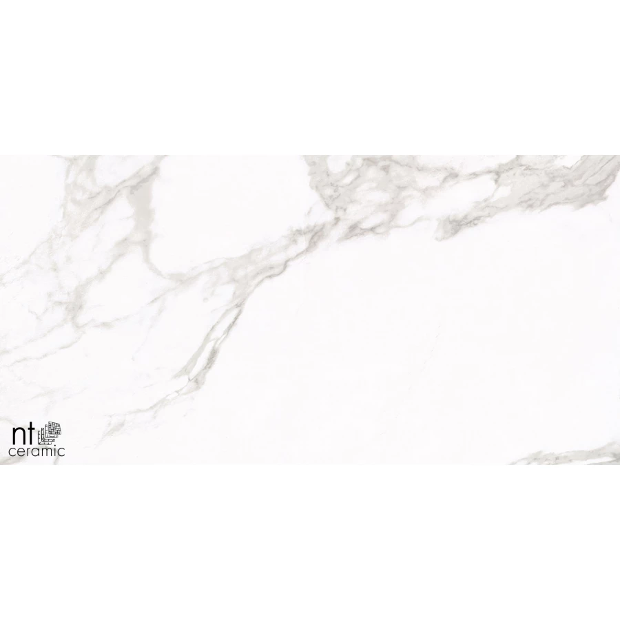 Керамогранит NT Ceramic Marvel NTT1001 Лаппатированный ML612NTT1001L 120х60 см