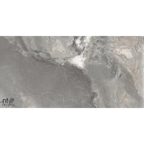 Керамогранит NT Ceramic Marmo Collin Natural Полированный NTT99501P 120х60 см