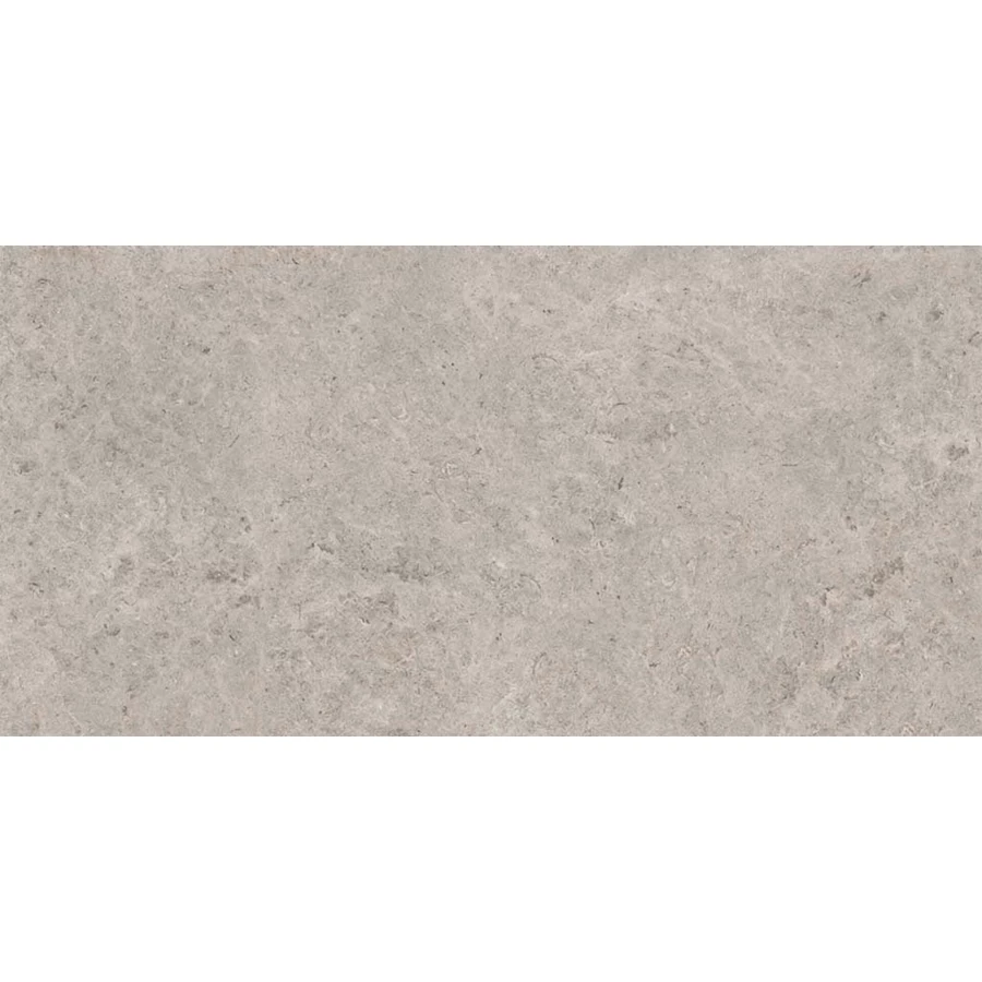 Керамогранит Gravita Seashell Natural R10 Carving серый 120х60 см