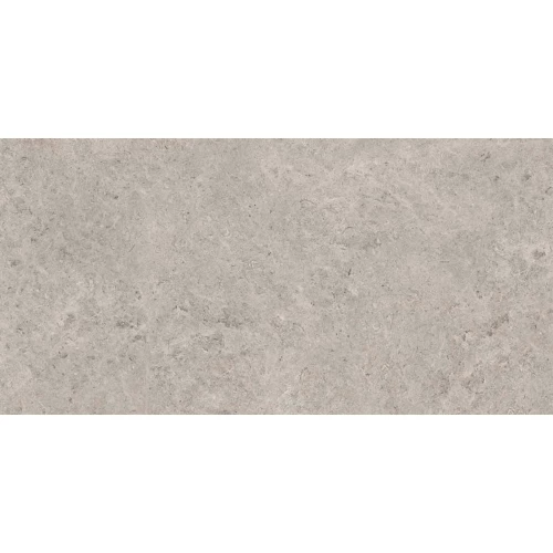 Керамогранит Gravita Seashell Natural R10 Carving серый 120х60 см