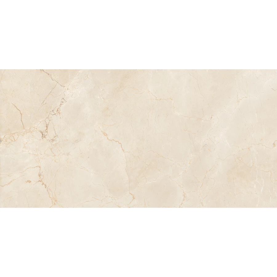 Керамогранит Maimoon Ceramica Itacid criox moss 120х60 см