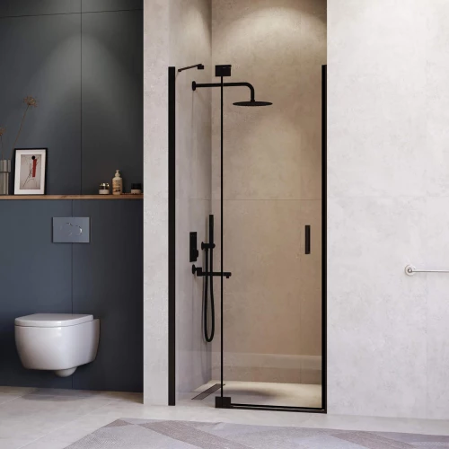 Душевая дверь RGW HO-014B Прозрачное 1000 350601410-14 100х200 см