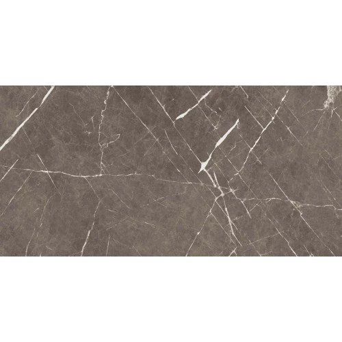 Керамогранит Ocean Ceramic Iran Apana Brown матовый IRN000003 120х60 см