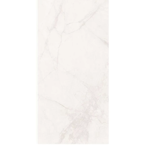 Керамогранит Planet Ceramics BNF12601RG matt матовый белый 120х60 см