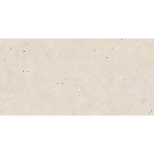 Керамогранит Buono Terrazzo Light Beige Matt матовый бежевый THS4801M 120х60 см