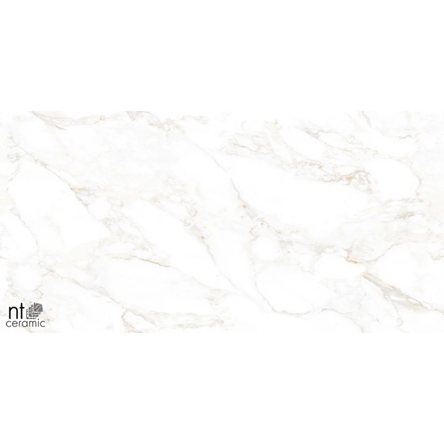 Керамогранит NT Ceramic Marmo Marble Extra Endless Матовый NTT99526M 120х60 см
