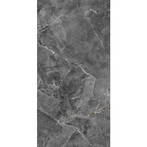 Керамогранит Primavera Бальдо / Balʹdo матовый темно-серый TP612M014 120x60 см