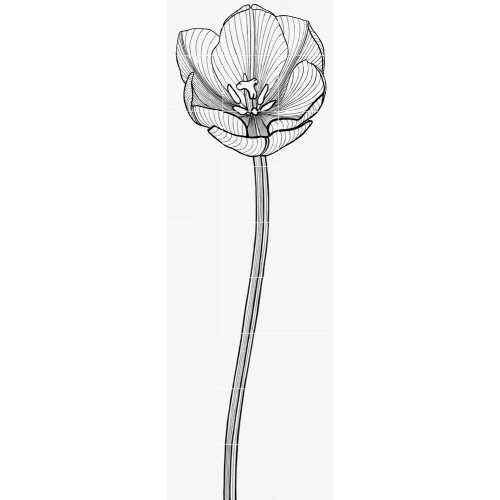 Декор 2 Bardelli Tuli-Charme глазурованный глянцевый TCHARM2 180х60 см