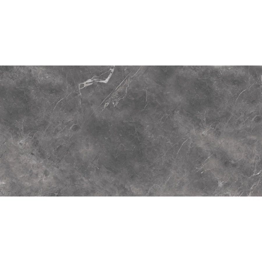 Керамогранит Gravita Imagine grey 120х60 см