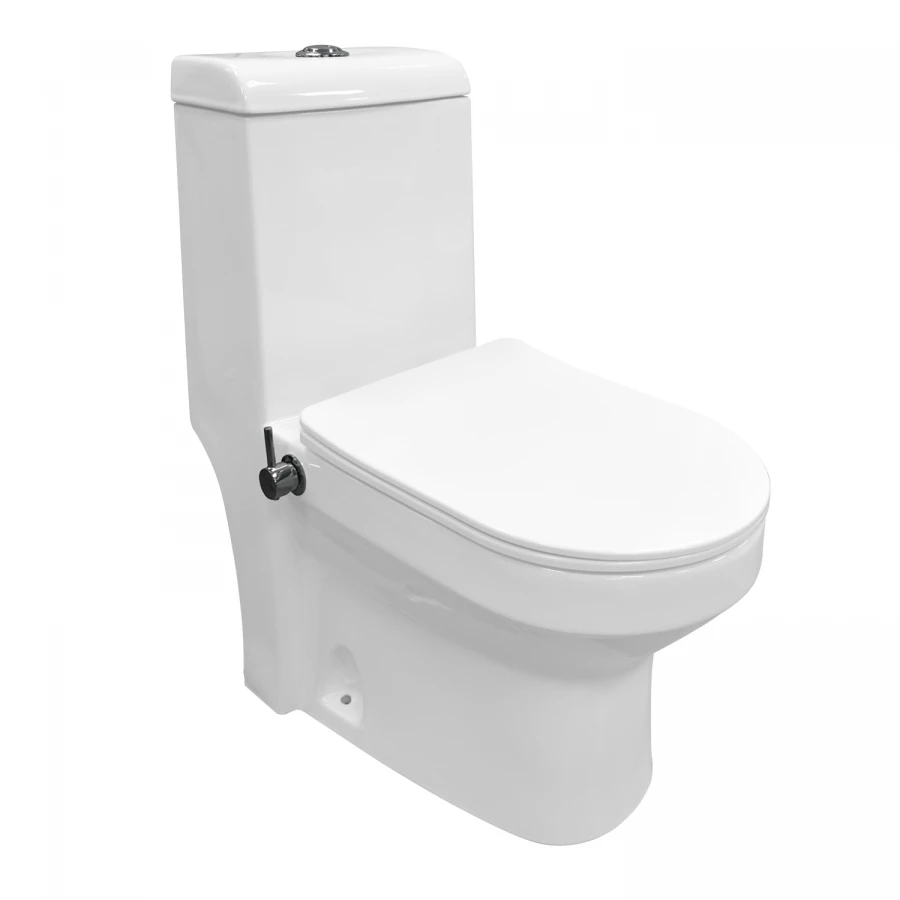 Унитаз-моноблок Azario Brusco напольный со встроенной функцией биде в комплекте с сиденьем дюропласт микролифт AZ-1085B 70x38x80.5 см