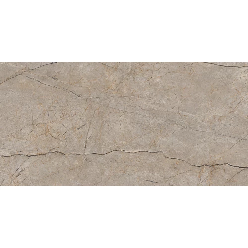 Керамогранит Cersanit Futura тонкий Silver Roots серый ректификат A17124 120х60 см