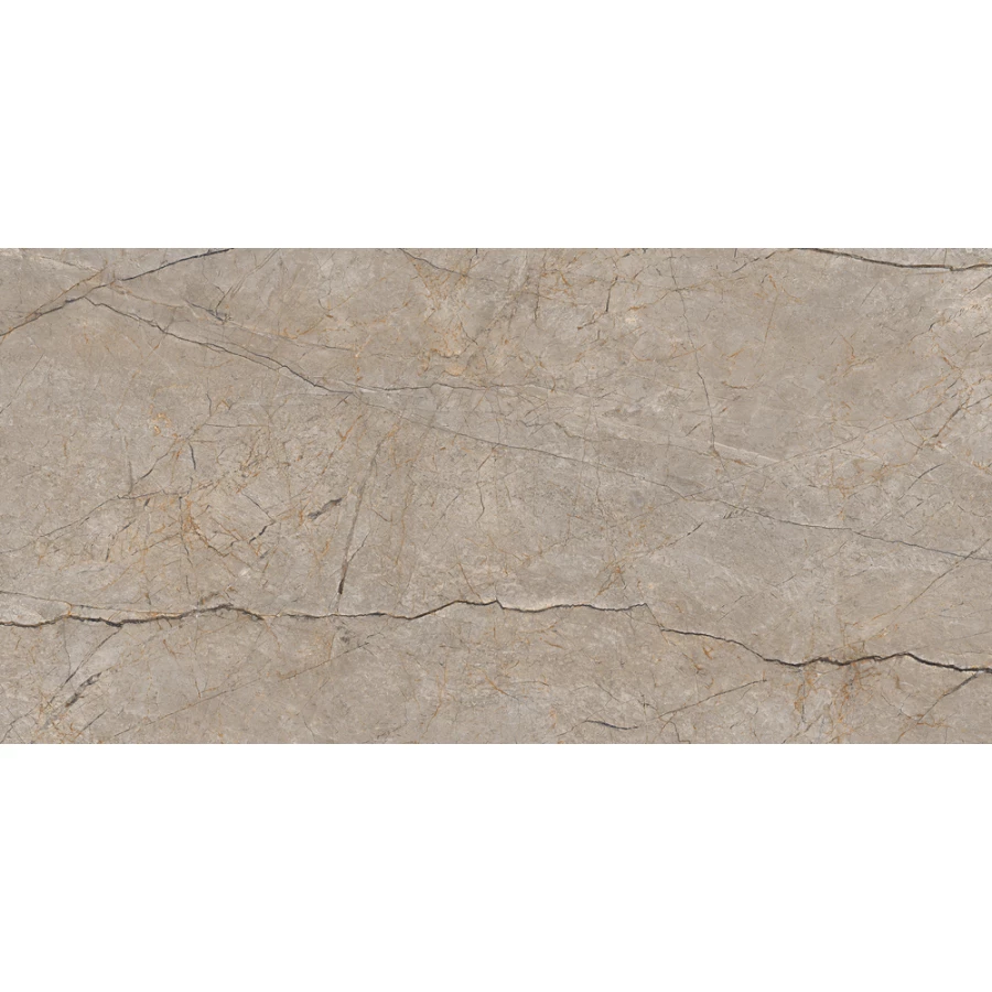 Керамогранит Cersanit Futura тонкий Silver Roots серый ректификат A17124 120х60 см