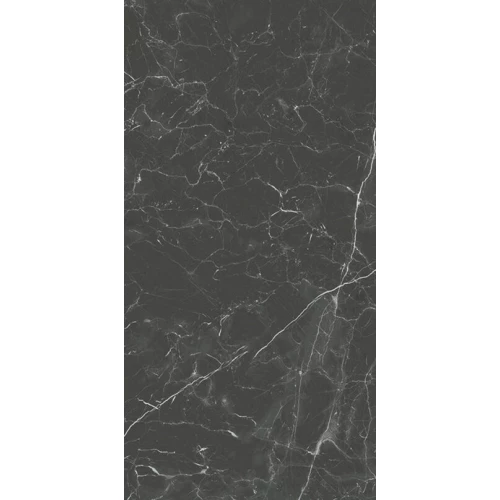 Керамогранит Baldocer Fox Graphite Pulido глянцевый серый 120х60 см