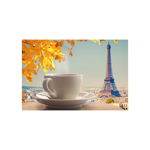 Декор Муза-Керамика D3 Travel cup D3D249 30х20