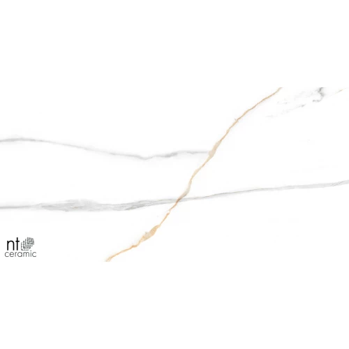 Керамогранит NT Ceramic Marmo Maritaca Statuario Ultra White Полированный NTT99513M 120х60 см