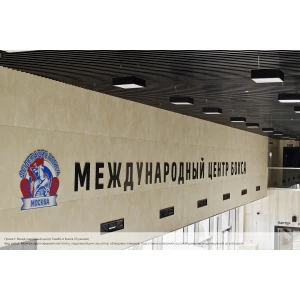 Клей для плитки и камня Litokol Hyperflex K100 высокоэластичный, серый L0479420002 20 кг