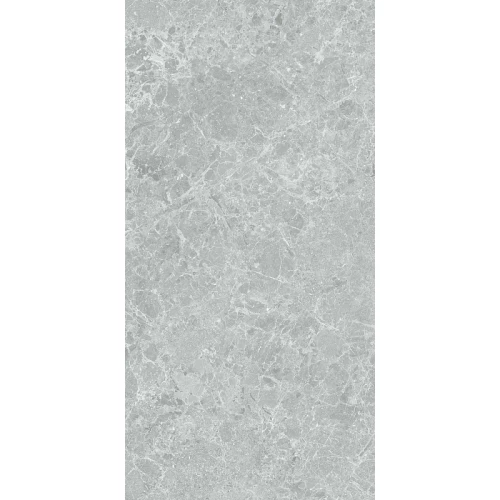 Керамогранит Stn ceramica Charisma P E 3DB grey mt rect 120х60 см
