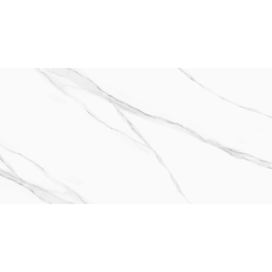 Керамогранит Delacora Life Calacatta матовый белый D120239M 120х60 см