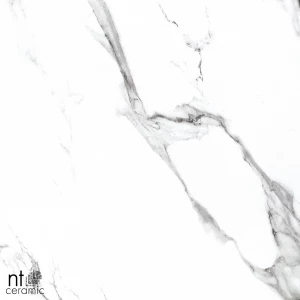 Керамогранит NT Ceramic Bright and Shiny NTT9100 Полированный BB6NTT9100P 60х60 см