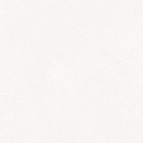 Керамогранит Argenta Палько Пав Вхите Рц / Palco Pav White Rc белый 60x60 см