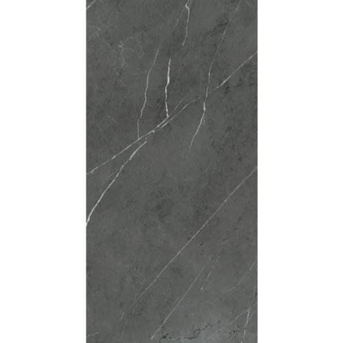 Керамогранит Ariana Ceramica Nobile Grey Grafite Lux+ PF60006313 120х60 см