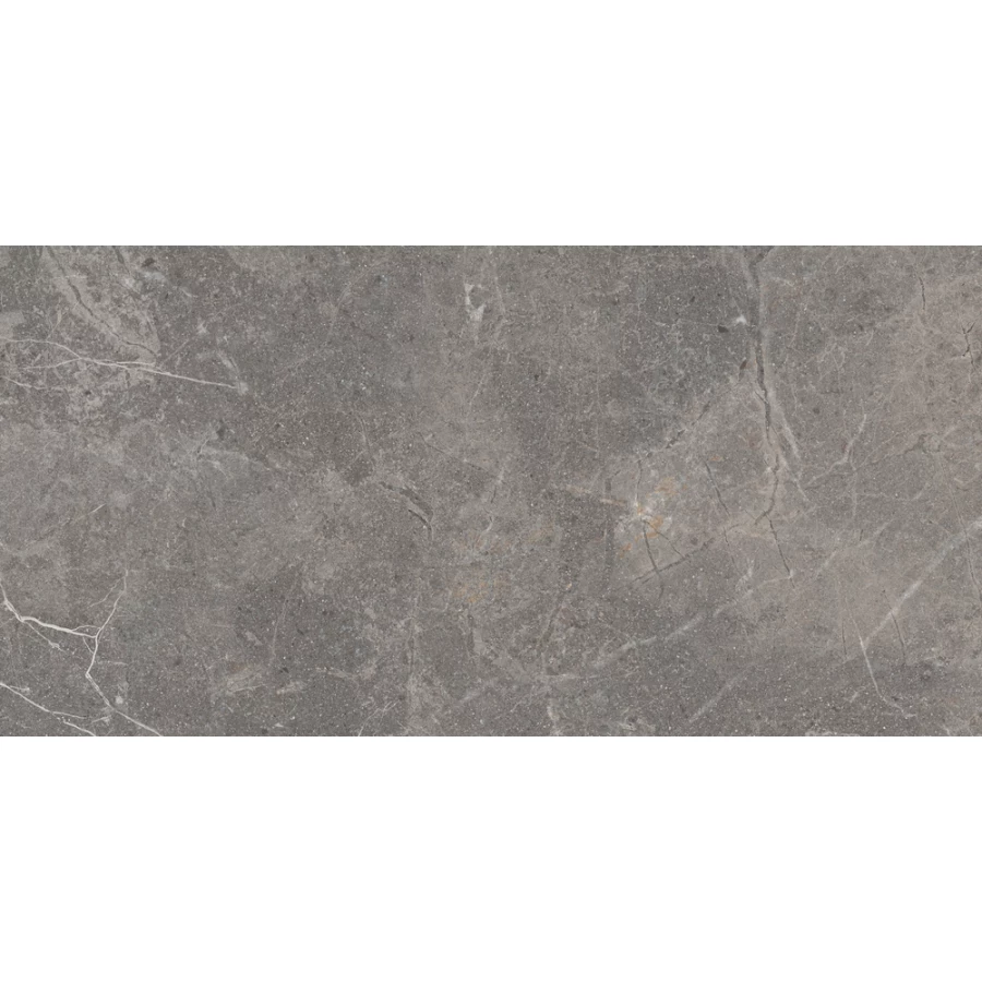 Керамогранит Cersanit Pamir матовый темно-серый A17781 89,8х44,8 см