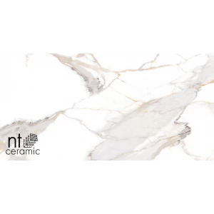 Керамогранит NT Ceramic Bright and Shiny Calacatta Light Grey mat Матовый NTT9120M 120х60 см