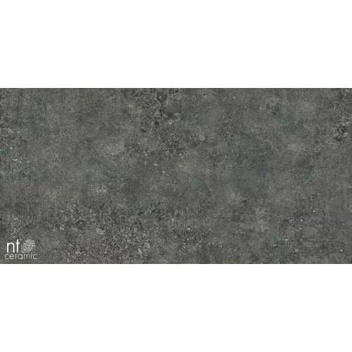 Керамогранит NT Ceramic Terrazzo NTT9502 Лаппатированный TZ612NTT9502L 120х60 см