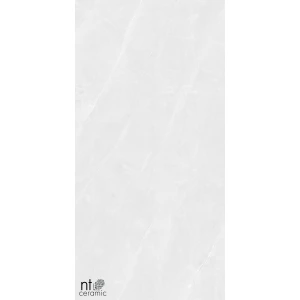 Керамогранит NT Ceramic Granite Limestone White Structura Матовый NTT99618M 120х60 см