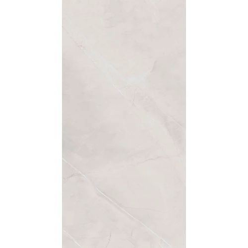 Керамогранит Belleza Armani Harbor Silver Glossy глянцевый серый 120х60 см