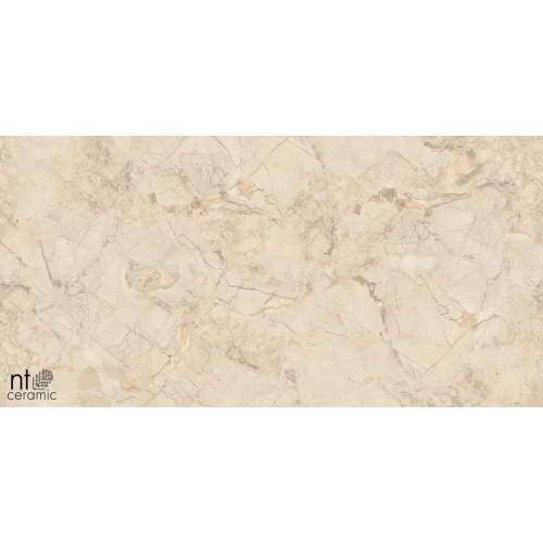Керамогранит NT Ceramic Marmo Ivory Endless Матовый NTT99515M 120х60 см