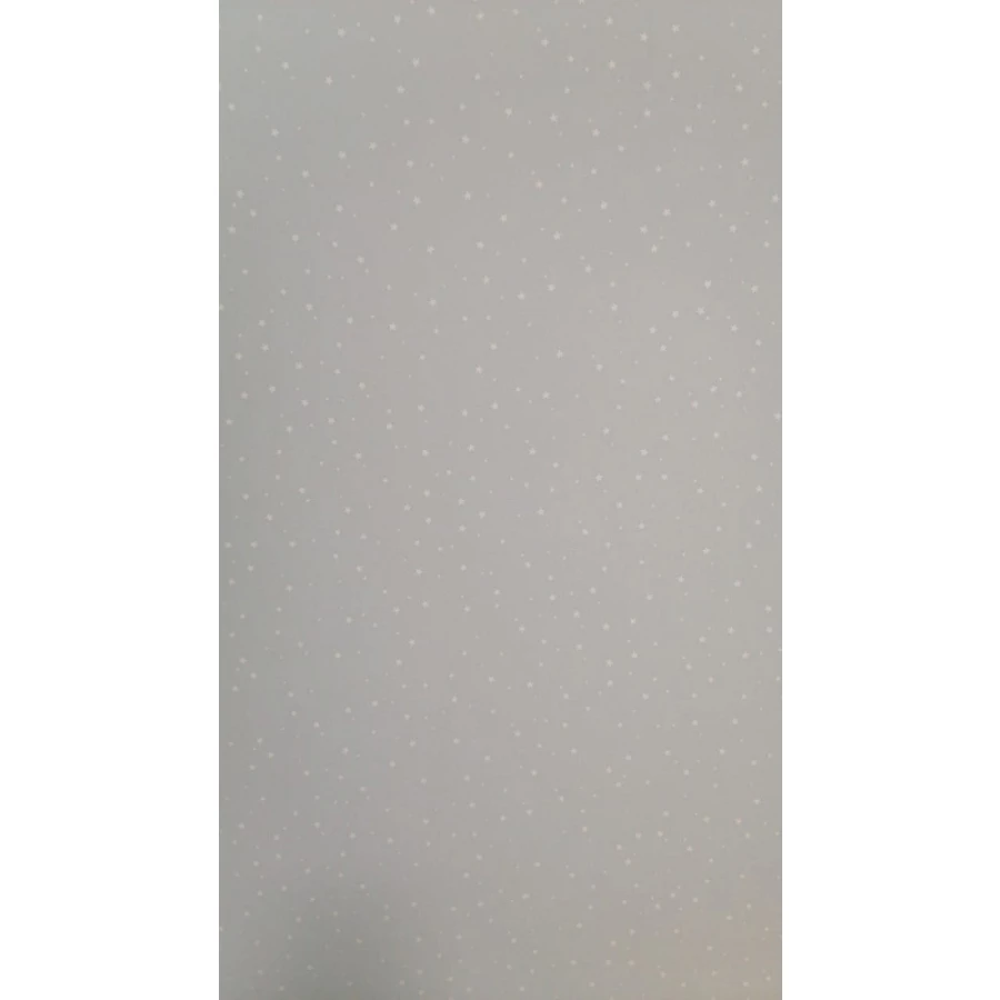 Обои флизелиновые Palitra Home HomeColor Wonderful серые HC71534-14 1,06х10,05 м