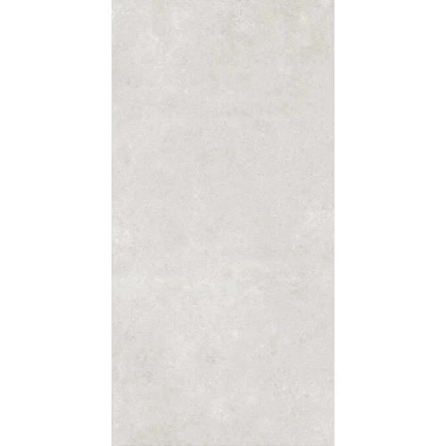 Керамогранит ProGRES Detroit матовый светло-серый PRO 0247M 120х60 см