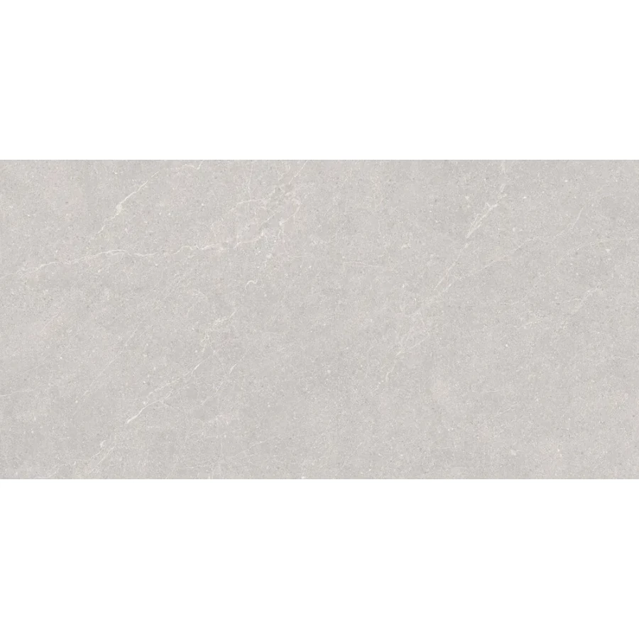 Керамогранит Duna Elenta Ash Carving светло-серый RP-238578 120х60 см