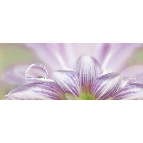 Декор Ceradim Dec Lola 1 20х50 см