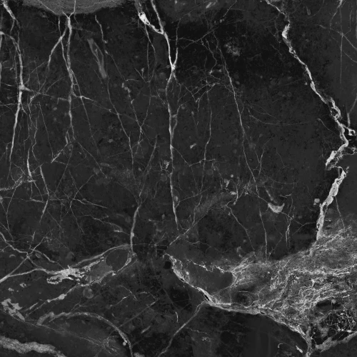 Керамогранит Primavera Dalim Black NR105 60*60 см