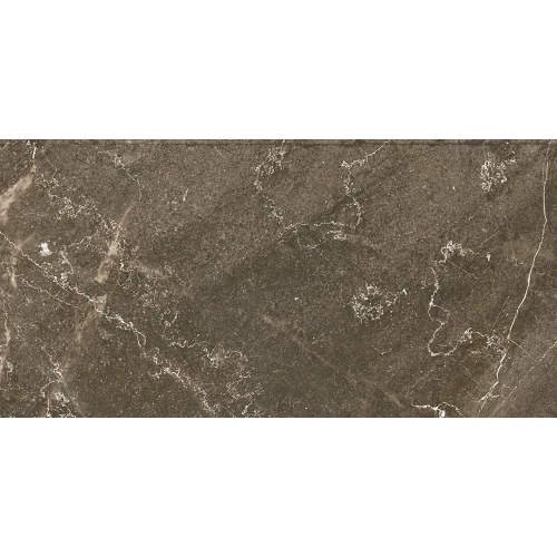 Керамогранит Ocean Ceramic Iran Baron Brown Sugar IRN000005 120х60 см