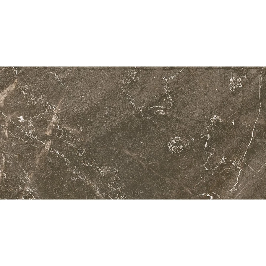 Керамогранит Ocean Ceramic Iran Baron Brown Sugar IRN000005 120х60 см