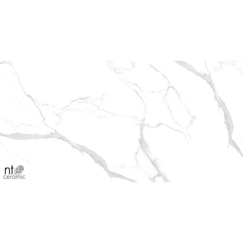 Керамогранит NT Ceramic Marmo Statuario Ultra White Полированный NTT99512M 120х60 см