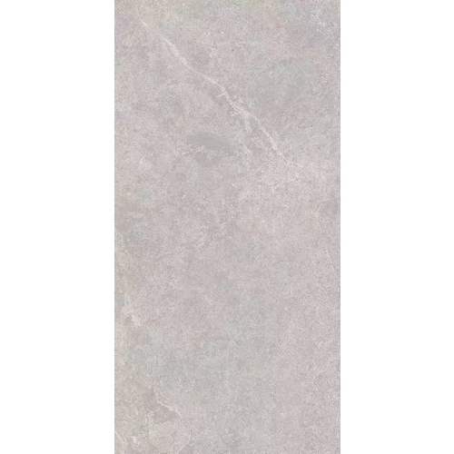 Керамогранит Realistik Santiago Semi Polished Matt серо-бежевый JN12903F 120x60 см